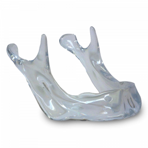 MANDIBULA ACRILICA EDENTULA - cód. 4010 A