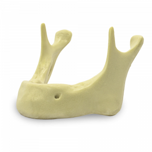 MANDÍBULA EDÊNTULA - cód. 4010