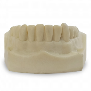 MANDIBULA COM TODOS OS DENTES - cód. 4700