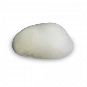 CALOTA CRANIANA - cód. 4002