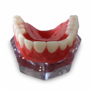 MAXILA ACRILICA TRI CLIP - cód. 10981