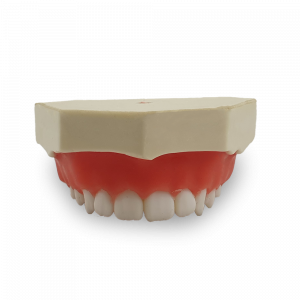 MAXILA PARA GENGIVECTOMIA 1 - cód. 4052