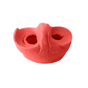 MENISCO MODELO ROSA - cód. 6000-02