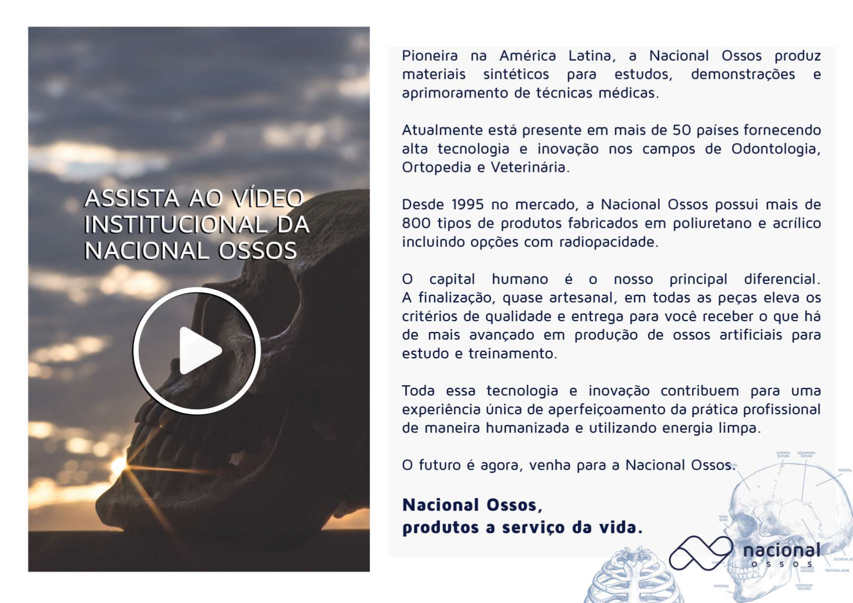 Catálogo Odontologia