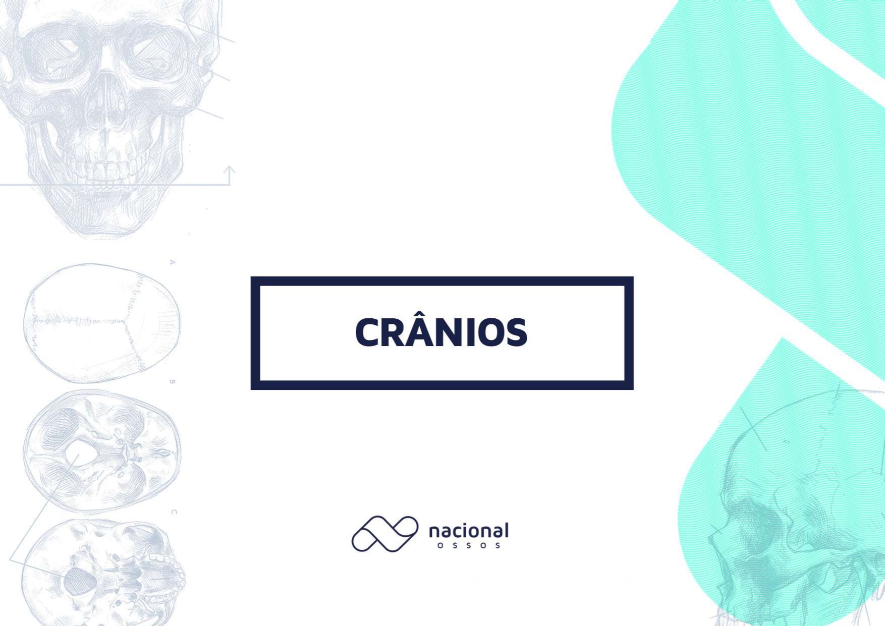 Catálogo Odontologia