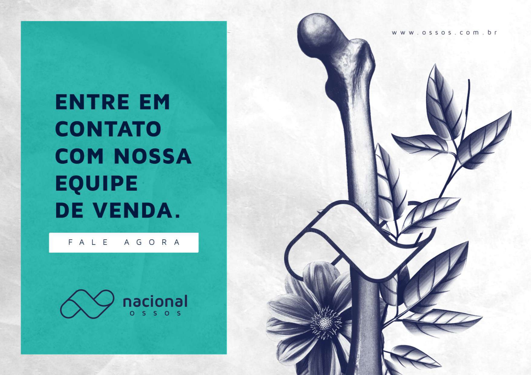 Catálogo Odontologia